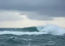 alerta laranja tempestade Alcobaça