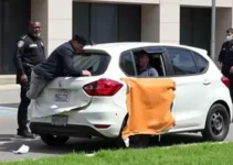 absolvição militante PCO