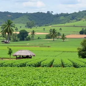custos de produção agrícola
