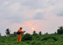 Operação Verão Porto da Sinfaz-BA