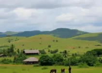 desocupação na terra indígena Aldeia Velha