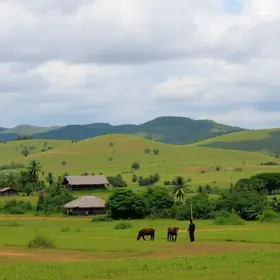 desocupação na terra indígena Aldeia Velha