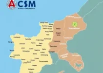 ACM Neto