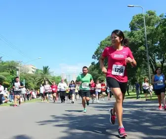 Circuito Sesc