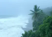 Inmet alerta para chuvas intensas e ventos de até 60 km/h