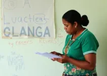 Programa Integrado de Educação Básica