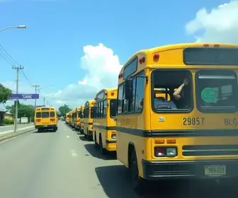 ônibus escolares